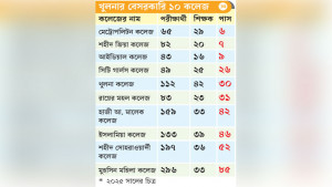 পাস কম, তদারকি নেই, শাস্তির বিধান আছে, প্রয়োগ নেই