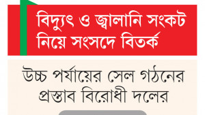 সংকটের জন্য দায়ী বিগত দিনের ভুল নীতি, বলছে সরকারি দল