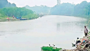 পানিতে বেশি অ্যামোনিয়া, অক্সিজেন কমে মাছে মড়ক