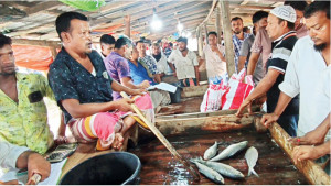 মেঘনায় মিলছে না কাঙ্ক্ষিত ইলিশ