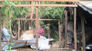 রান্নাঘরে মজুত ককটেল বিস্ফোরণ, গুরুতর আহত গৃহবধূ
