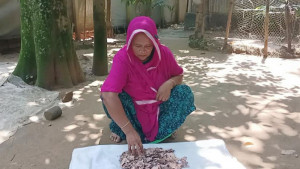 দশ বছরের সঞ্চয় কৌটায়, সব টাকা খেল পোকায়