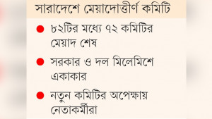 মাঠ পর্যায়ে গুছিয়ে উঠতে পারছে না বিএনপি