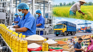 উৎপাদনশীল শিল্পকে টিকিয়ে রাখা কেন জাতীয় স্বার্থের অংশ