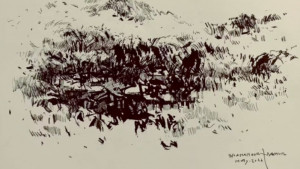অন্তরচ্ছেদ