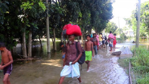 বন্যার পানি কমতেই সুপেয় পানির সংকট