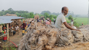 পাটের দামে খুশি কৃষক