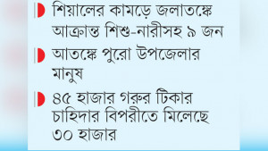 সুন্দরগঞ্জে অ্যানথ্রাক্সে  আক্রান্ত বেড়ে ৩৪