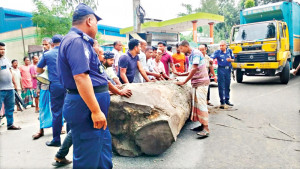 সারের দাবিতে লালমনিরহাটে সড়কে বিক্ষোভ, কুড়িগ্রামে গুদাম ভাঙচুর