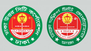 কাউন্সিলর নেই, মশা নিয়ন্ত্রণে বিএনপির নেতাকর্মীরা