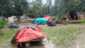 খোলা আকাশের নিচে বসবাস তিস্তায় গৃহহারা পরিবারের