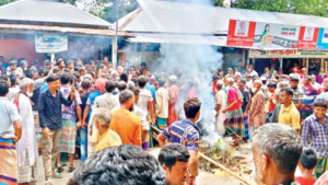 কুড়িগ্রামে সার বিতরণে বিশৃঙ্খলা, কৃষি উপপরিচালক বদলি
