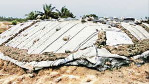 মাঠে লবণ, তবু আমদানির অনুমতি