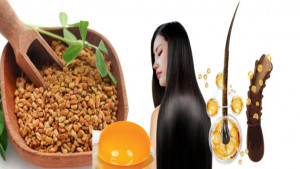 মেথি না কাঁচা ডিমের হেয়ার মাস্ক, চুলের জন্য কোনটি ভালো?