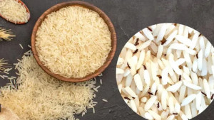 চালের ড্রামে পোকা ধরেছে? সমাধান মিলবে যেভাবে