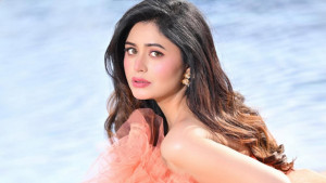 ঋতাভরীর পোস্ট নিয়ে কেন এত আলোচনা