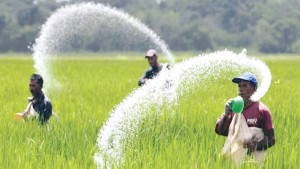 সার আমদানিনির্ভরতা কমাতে উৎপাদন বাড়ানোর তাগিদ