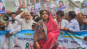 দেশে তেল নেই, তাহলে হাজার হাজার গাড়ির লংমার্চ কীভাবে: পররাষ্ট্র প্রতিমন্ত্রী