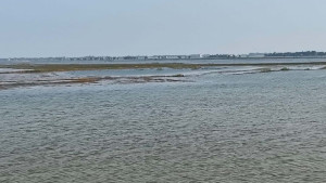 ব্যক্তিমালিকানাধীন জমি খাস জলাশয় দেখিয়ে ইজারা