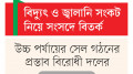 সংকটের জন্য দায়ী বিগত দিনের ভুল নীতি, বলছে সরকারি দল