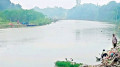 পানিতে বেশি অ্যামোনিয়া, অক্সিজেন কমে মাছে মড়ক