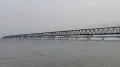 পদ্মা-যমুনার পানি বাড়ছে, তলিয়ে গেছে ফসলি জমি
