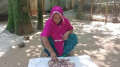 দশ বছরের সঞ্চয় কৌটায়, সব টাকা খেল পোকায়