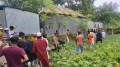 ফরিদপুরে মাদক কারবারের অভিযোগে বাড়ি ভাঙল এলাকাবাসী
