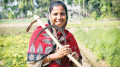 পদ্মার চরে নারীর জীবন