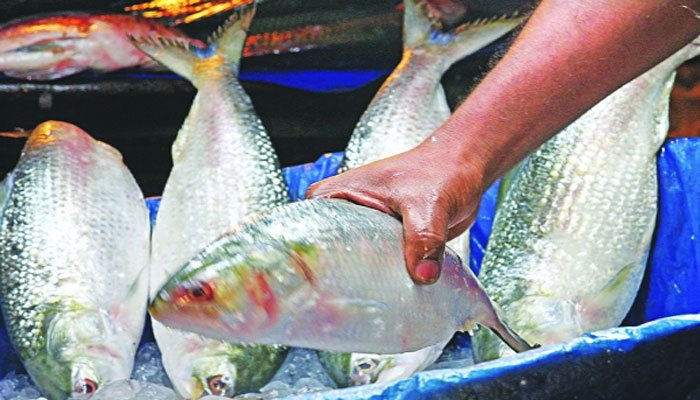 অভিযানের নামে ইলিশ ধরায় ৩ পুলিশ সদস্য বরখাস্ত