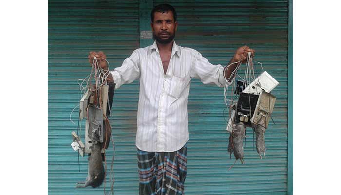 ইঁদুর শিকারি মুক্তার মোল্লার গল্প