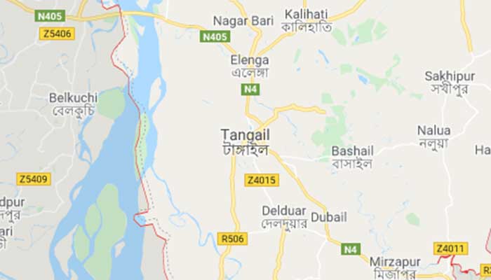জামাই-শাশুড়ির বিয়ে: ইউপি চেয়ারম্যানসহ ১১ জনের বিরুদ্ধে মামলা