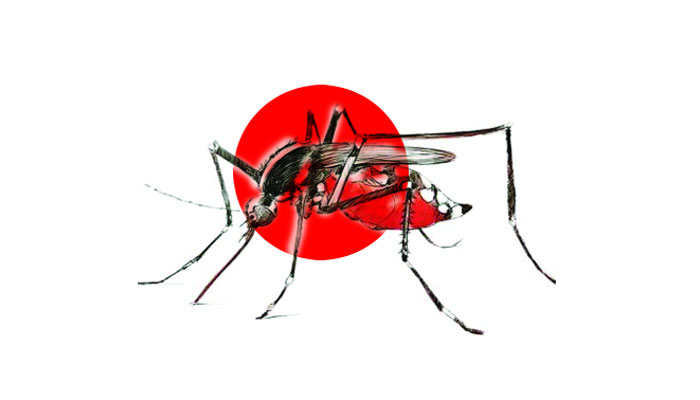 ডেঙ্গুতে আরও ১ জনের মৃত্যু