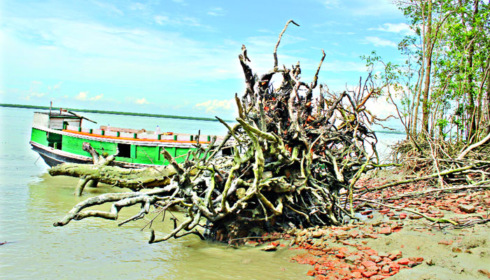 প্রত্নসম্পদ শেখেরটেক হারিয়ে যাচ্ছে ভাঙনে