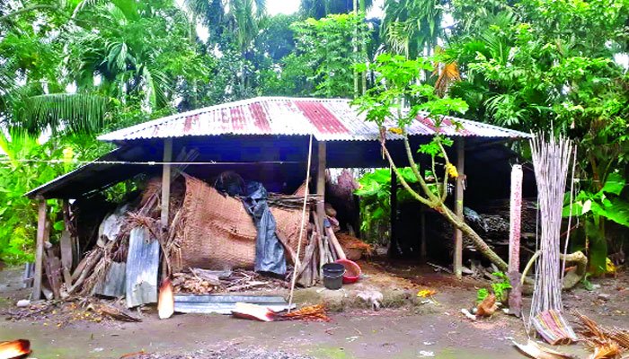 শেফালীর শূন্যভিটে