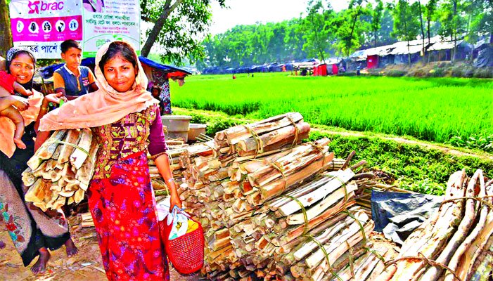 ২,৪২০ কোটি টাকার ক্ষতি বনাঞ্চলের