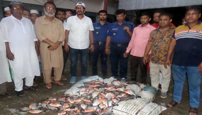 আদমদীঘিতে পুকুর থেকে রাক্ষুসে পিরানহা মাছ জব্দ