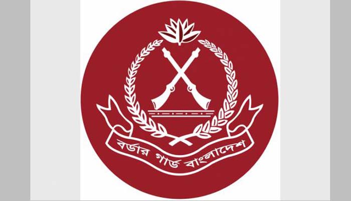 সেপ্টেম্বরে ৪১ কোটি টাকার মাদক ও পণ্য জব্দ বিজিবির