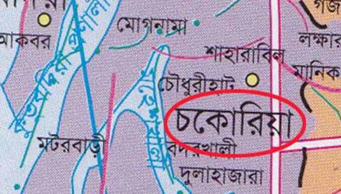 চকরিয়ায় জবাই করে গরু চুরি