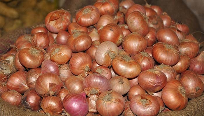 মিশর থেকে আসছে ৫০ হাজার টন পেঁয়াজ