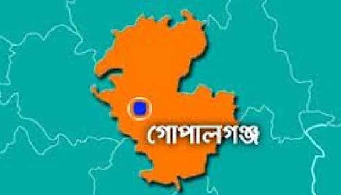 সাবেক ইউপি চেয়ারম্যানের বিরুদ্ধে রাস্তার গাছ কাটার অভিযোগ