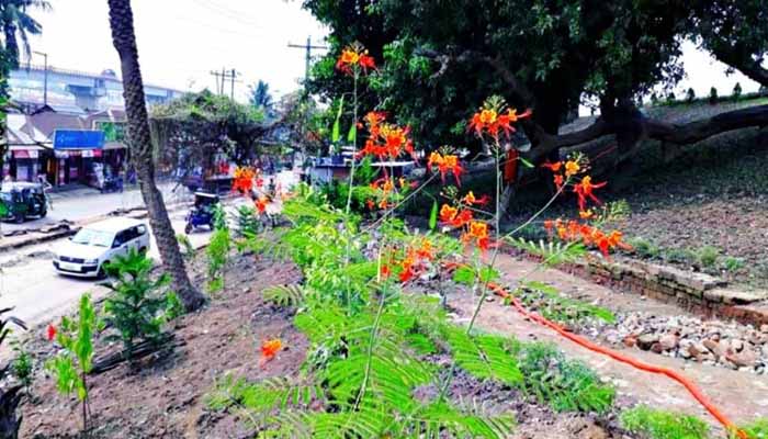 ময়লার ভাগাড় এখন ফুলের বাগান