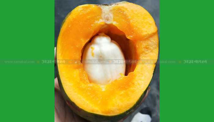 পেঁপের ভেতরে পেঁপে!