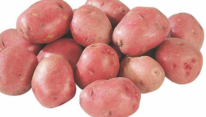 শক্তি বাড়াতে সহায়ক লাল আলু