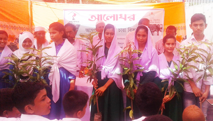 বিনামূল্যে ১২০০ আমের চারা বিতরণ