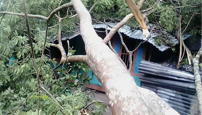 ঘূর্ণিঝড়ে নয় জেলায় গেলো ১৩ প্রাণ