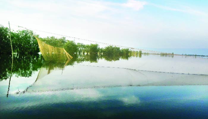 হাওর গিলে খাচ্ছে প্রভাবশালীরা