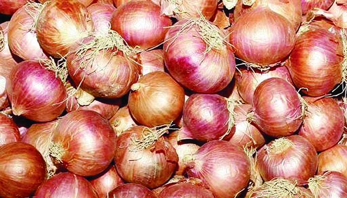 পেঁয়াজের এলসি নিয়ে 'কানামাছি'