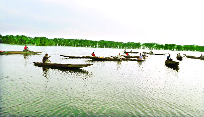 প্রাণ হারাচ্ছে টাঙ্গুয়া