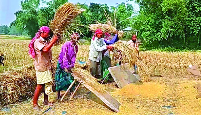 শস্যভান্ডারখ্যাত দিনাজপুরে কৃষকের তালিকাই হয়নি